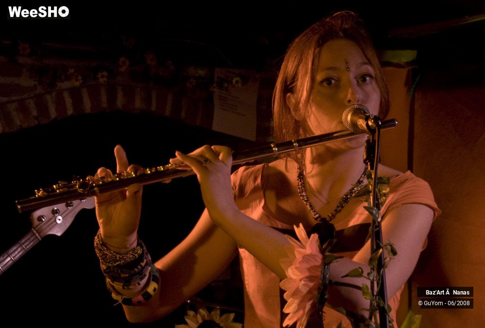 20/35 photos du spectacle Baz'Art à Nanas